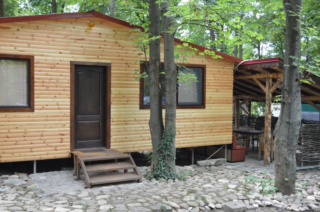 Hotel Grivitsa Pleven Room photo